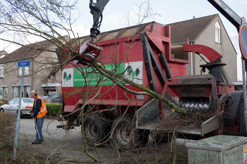 bomenonderhoud