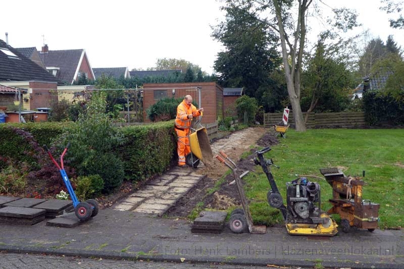 Lefier-Fuhler Boterbloem