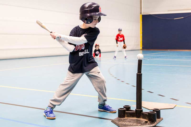 Bedrocks Beeball 2018