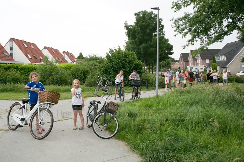 akkervarkens_rvd-Weide